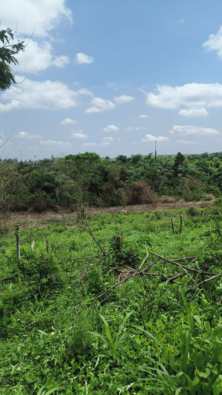 Residential land — Ring Road (Challenge to Liberty), Ibadan