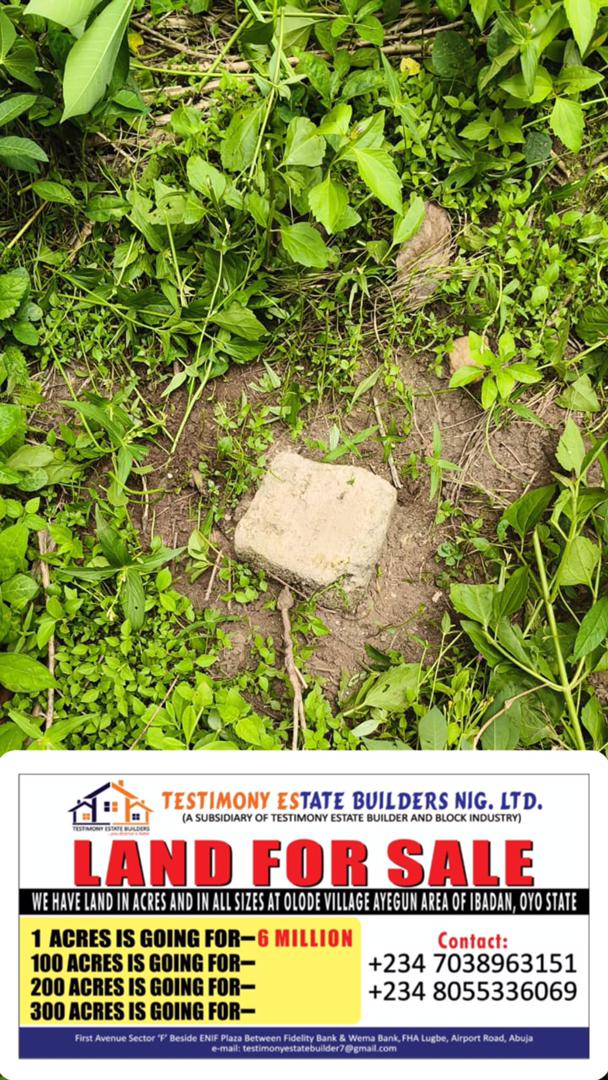 Ibadan, Oyo State — Company-supplied land presentation