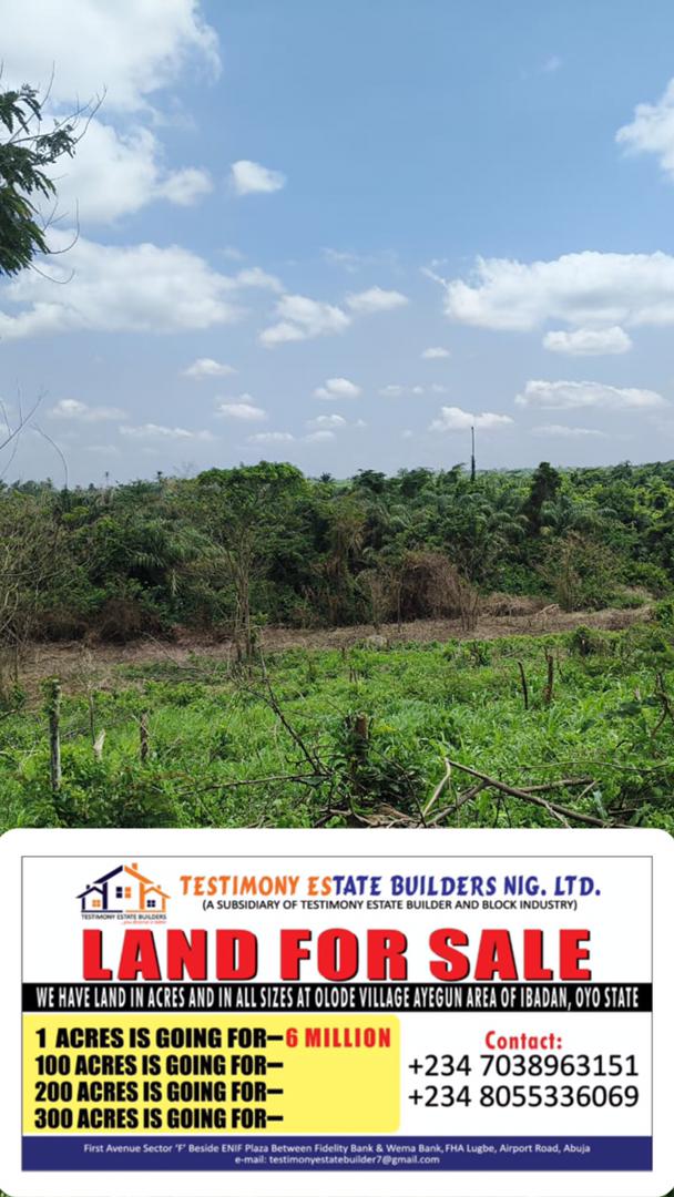 Ibadan, Oyo State — Company-supplied Olode land presentation